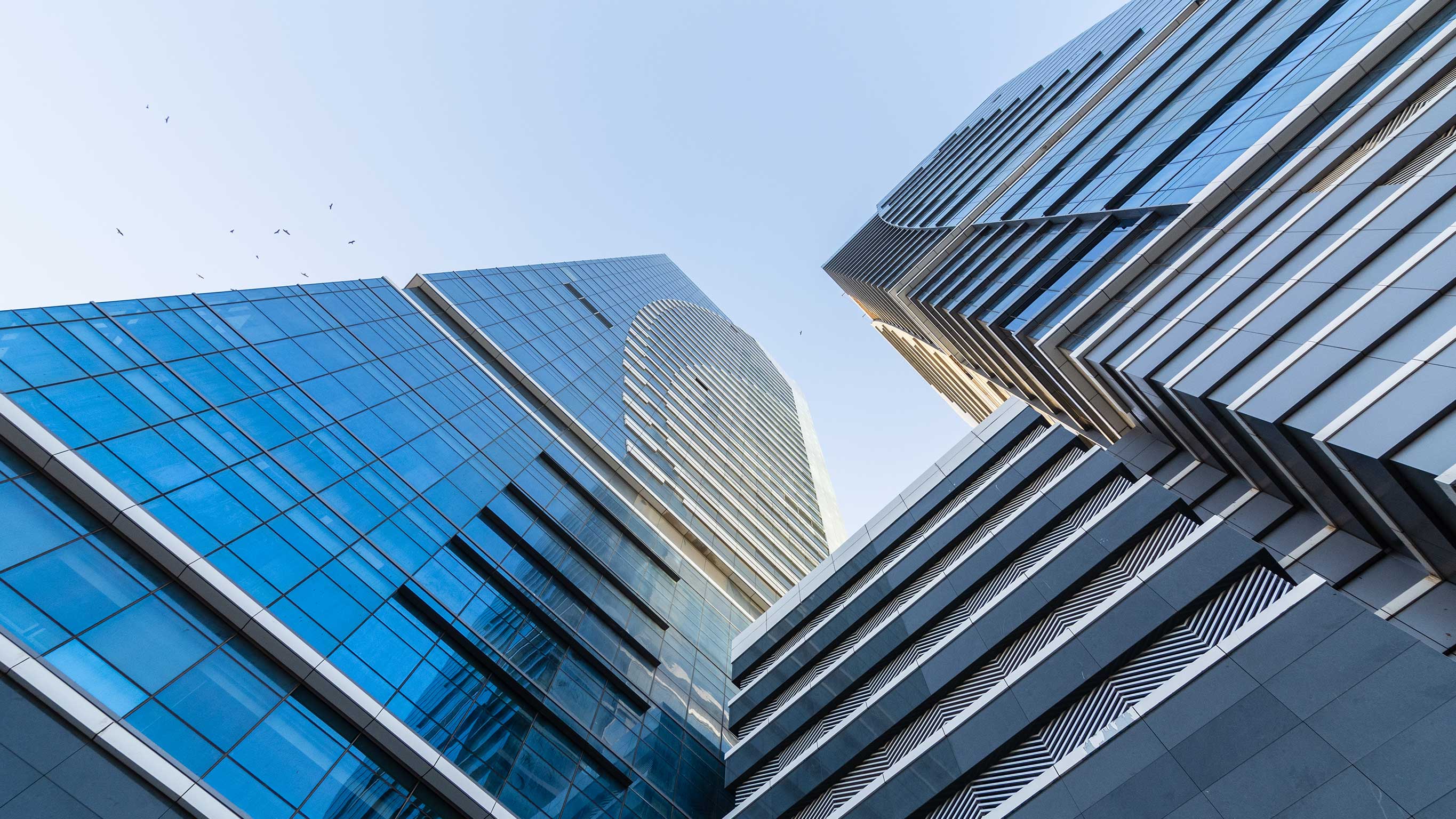 Sky Towers